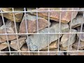 Granite vs Limestone colour differences