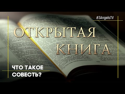 Что такое совесть? | Открытая книга