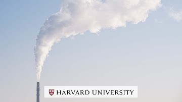 How does air quality affect the brain?