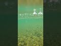 “First Look Under the River.” Video drops May 26th & 8am #underwater #nature #first