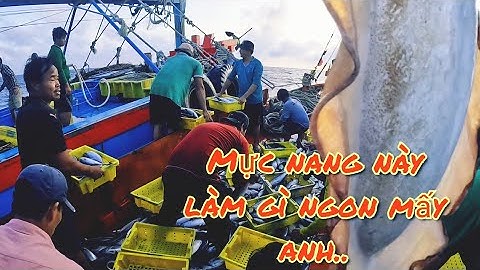 Thất thủ bầy cá ngừ ngày đầu tiên | Đánh cá 2025 - Tập 6 | Sóng biển Hứa Đông