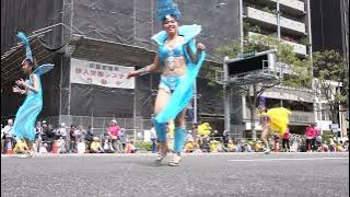 神戸まつり2014 サンバ Escola De Samba KOBECCO