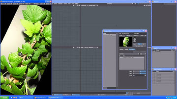 TrueArt LightWave 3D PlugIn Transform Filter 1 Full HD video tutorial