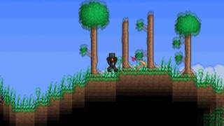 Terraria - Top Hat