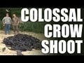 Fieldsports Britain - Colossal crow shoot