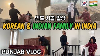 🇰🇷🇮🇳EP.14 인도 시골에서 보내는 일상 korean wife and indian husband family vlog in india(인도여행,펀자브,punjab)