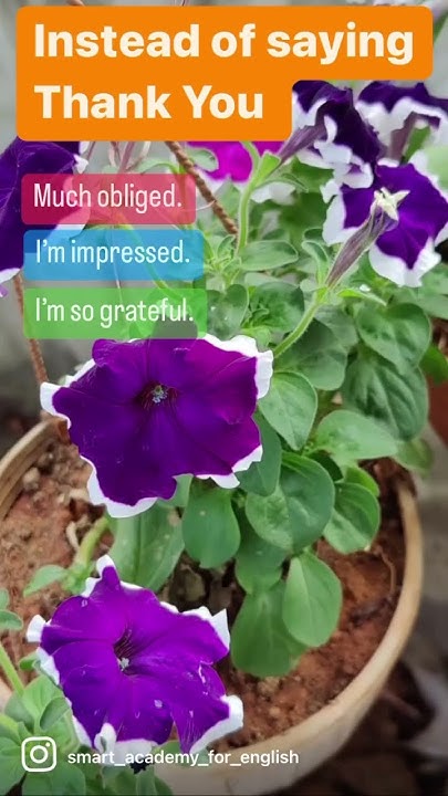 instead-of-saying-thank-you-alternatives-of-thank-you