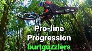 WINDHILL b1ke park Albs PRO-LINE Progression