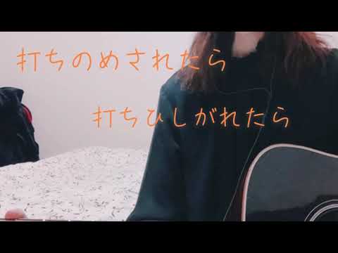 中島みゆき　倒木の敗者復活戦