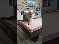 Challenge Shot! (2 in 1 pocket)