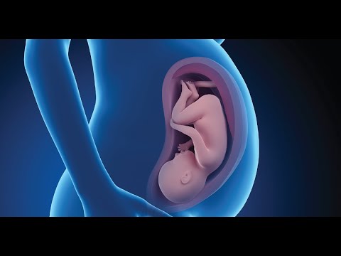 The Basics Postpartum Depression WebMD
