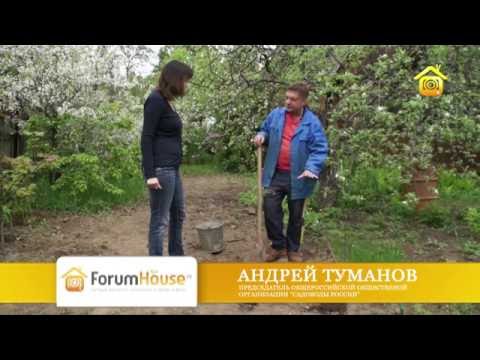 Видео: Советы по посадке огорода