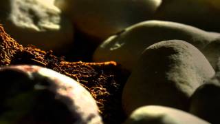 Hdr Macro Timelapse With Smoothstep