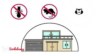 Peak Pest Solutions' Explainer video