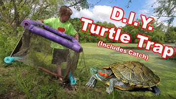 DIY Turtle Trap (Includes Catch!)