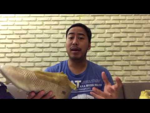 PRETELIN: Unboxing Dust Storm Ace 17+ Pure Control