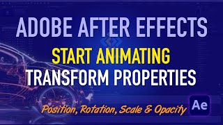 How to start animating the transform properties in After Effects.
