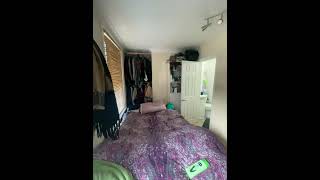 IMG 5594