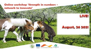 Network to innovate 2021