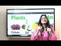 Class 3 EVS The Story of Food Part 1
