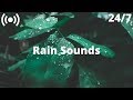 Rain Sounds on Leaves | Sleep Deeply with Gentle Rainfall | Relaxing Sounds for Sleeping & Insomnia