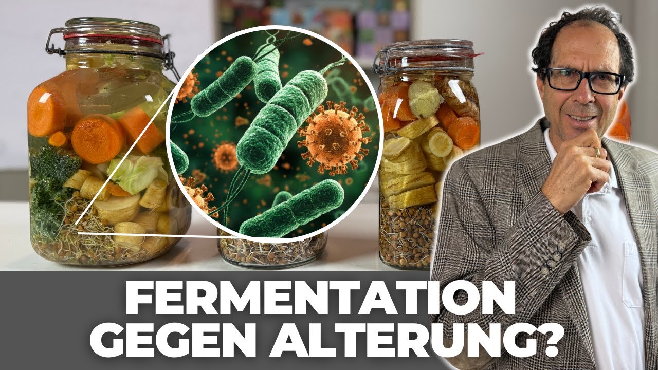 Warum Fermentation Ihr Gehirn & Ihre Zellen verjüngt
