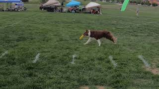 The Quadruped Extreme Long Distance competition Mens Open