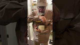 KTI short 63:  rare Champion rotating gasoline iron