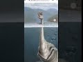 Oh No Hand Sea Monster ЁЯС ЁЯШЦЁЯШЦЁЯШЦЁЯШгЁЯШг Oh No Hand Sea Monster ЁЯС ЁЯШЦЁЯШЦЁЯШЦЁЯШгЁЯШг