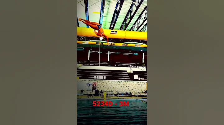 5134D - 3 meter - Diving/RIPFEST