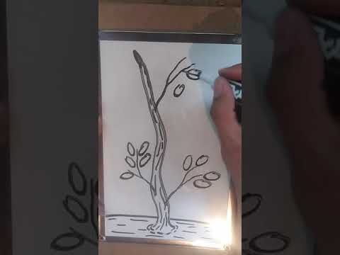 Video: Cómo Dibujar Una Rama