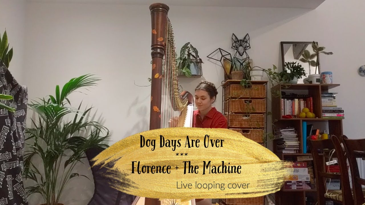 Dog Days Are Over - Florence + The Machine (live looping harp cover)