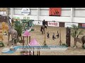 POYS Day 3 | Children on Horses Grand Prix