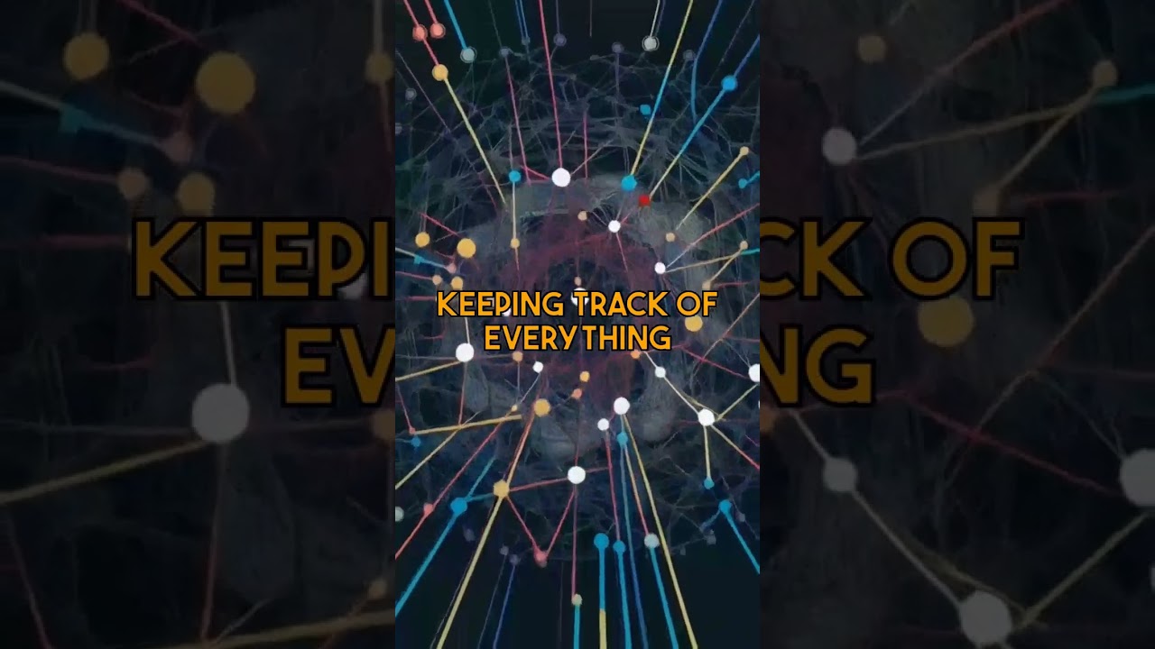 Scrutinizing Crypto Portfolio Organizational Tools