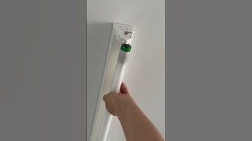 How to change a Fluorescent light.  #diy #renovation #changelight #fixed #ladytradie