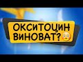 Виноват окситоцин?