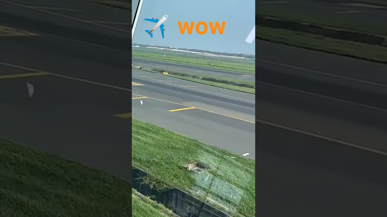 runway Vibes with power take off ✈️✈️✈️✈️✈️