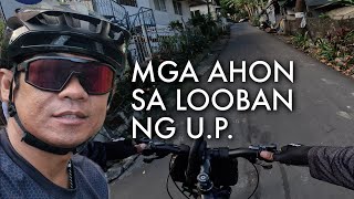 5 AHON SA LOOB NG U.P.