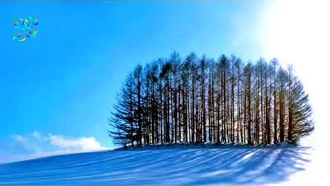 تلاوة عذبة وديع اليمني فنادى في الظلمات