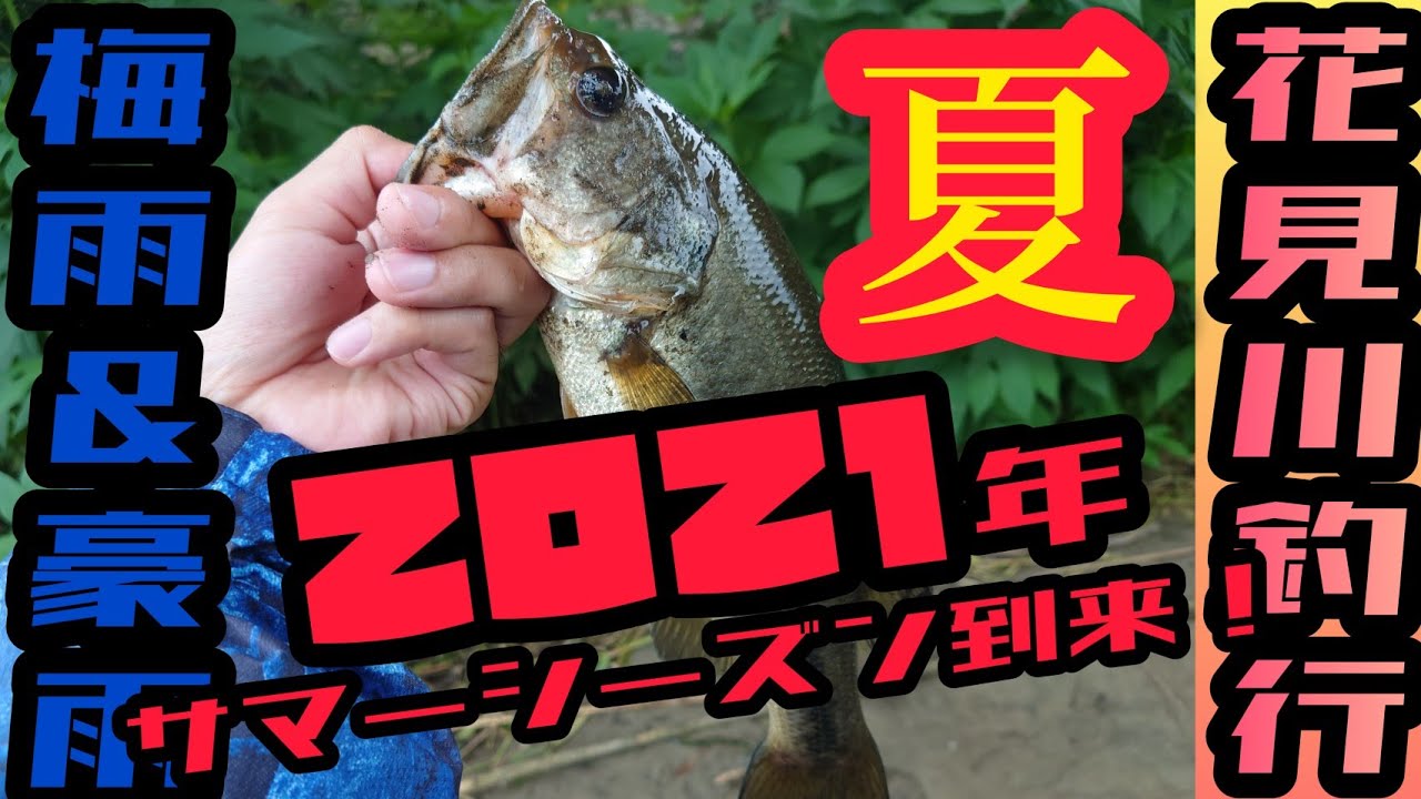 21年 夏開幕 印旛沼 水系 新川 花見川釣行 ランガンで堅実に1本狙っていく バス釣り Bassfishing Youtube