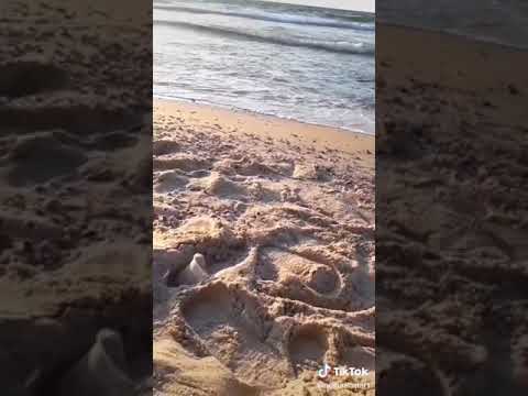 من يوم ما خدني بحر الحياة