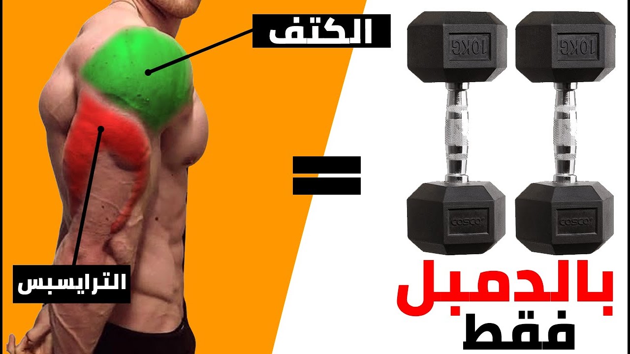 أقوى 10 تمارين الكتف والترايسبس بواسطة بالدمبل | dumbbell shoulder and ...