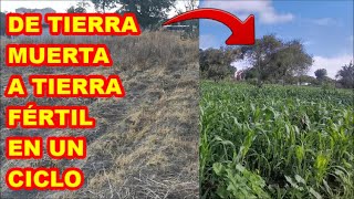 de TIERRA MUERTA a TIERRA VIVA. Agricultura REGENERATIVA. todo el proceso by EL TERREGAL DE RAY 201,251 views 4 months ago 27 minutes