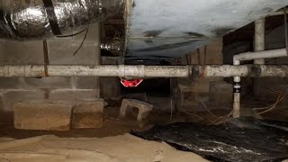 Signs To Look For When Inspecting A Crawl Space