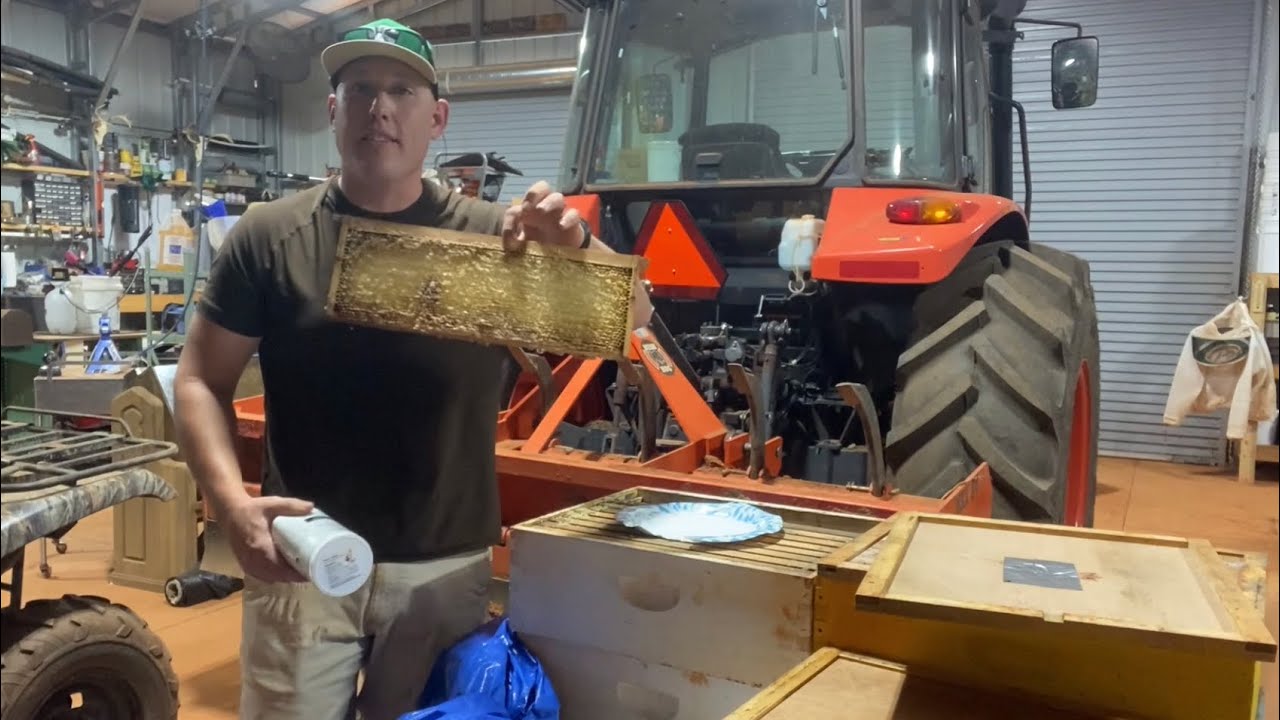 How to properly store your Honey bee supers and wax frames