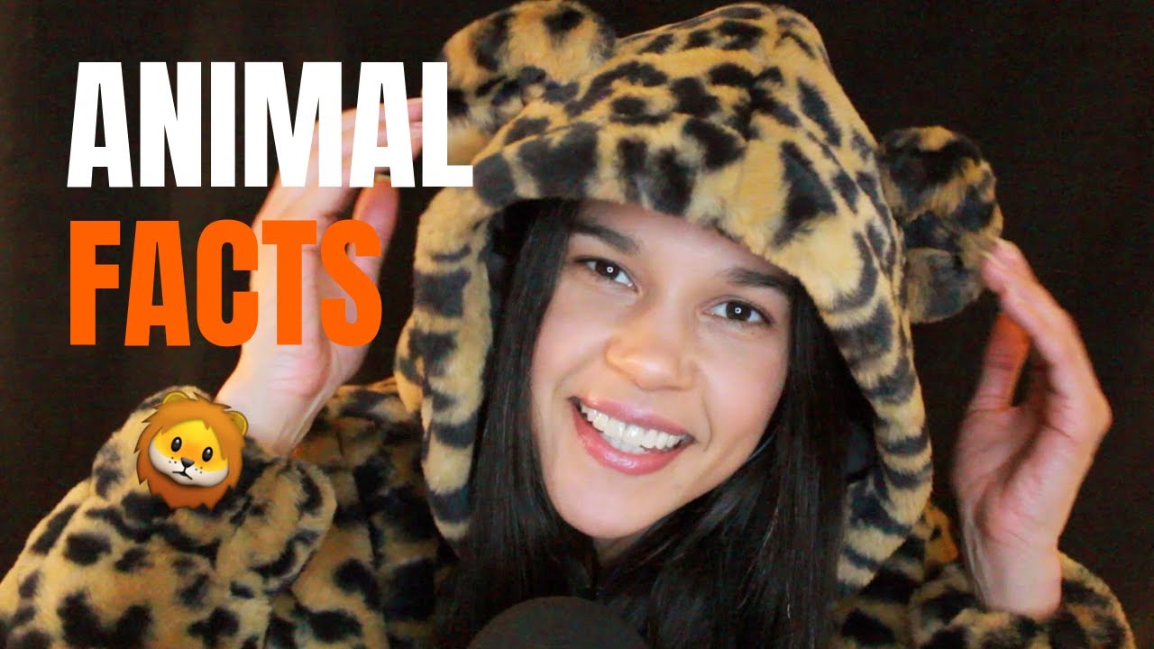 [ASMR] Random Facts About Animals | Whispered Reading & Gentle Candy Sounds