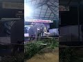 Kazhikkal aanu main #shortsfeed #shorts#shortsvideo#festival #aana#elephant#aanakotta#vadakkencherry