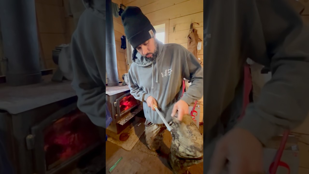 Alaska FISH PROCESSING 