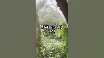 سورة قريش بتلاوة خاشعة من الشيخ عبد الباسط عبد الصمد رحمه الله