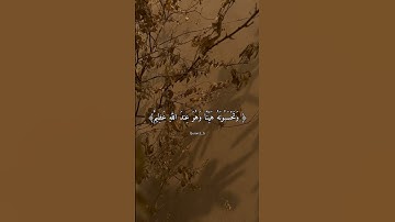 ( وتحسبونه هينا وهو عند الله عظيم )  سورة النور.    القارئ /أحمد الخضر